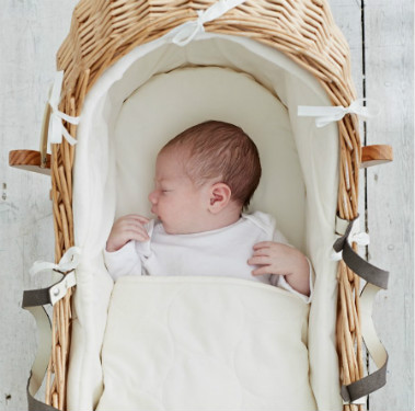 baby fast asleep in a moses basket